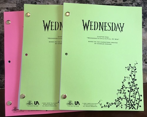 Wednesday show script - tv,